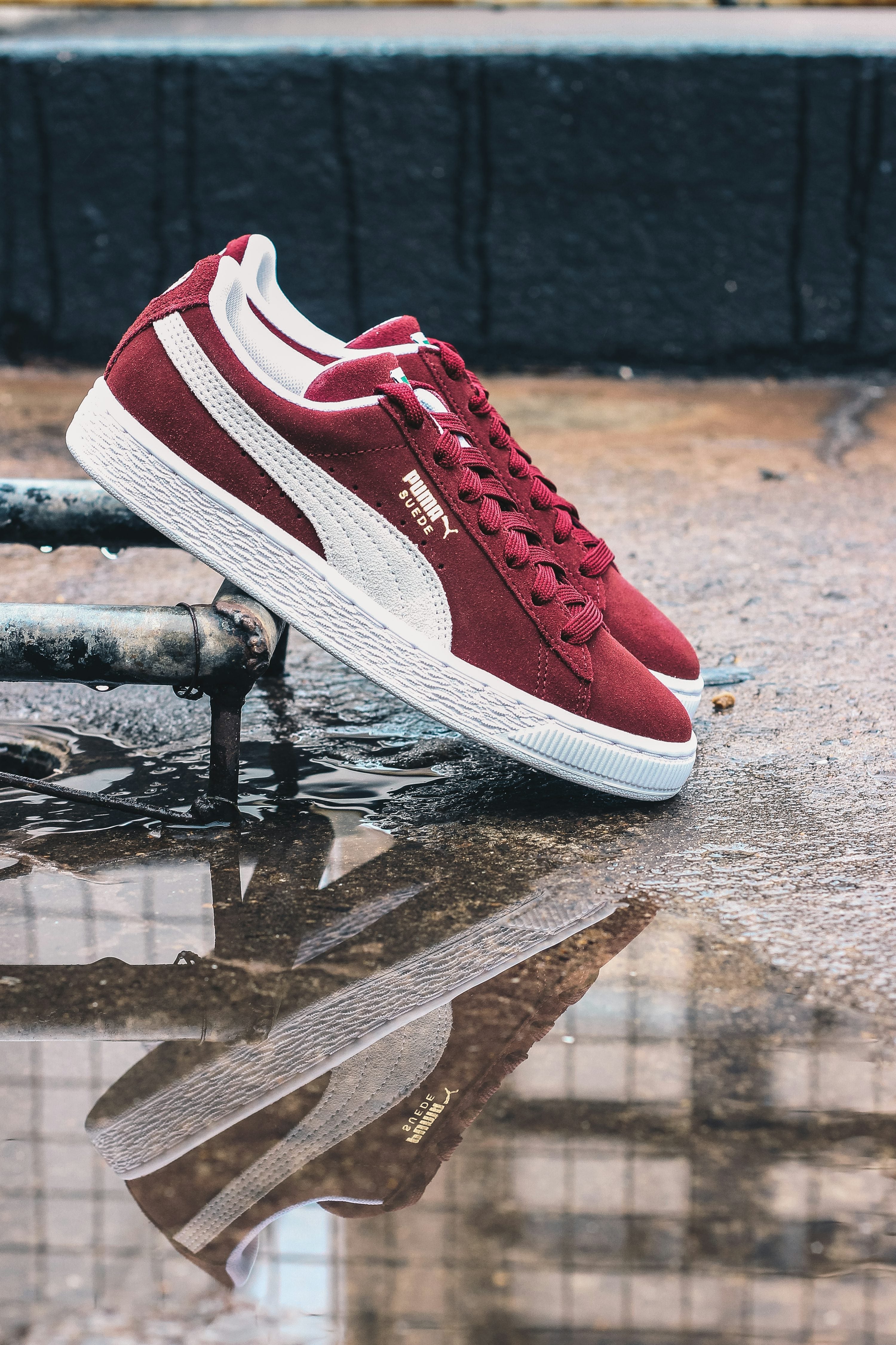 Puma