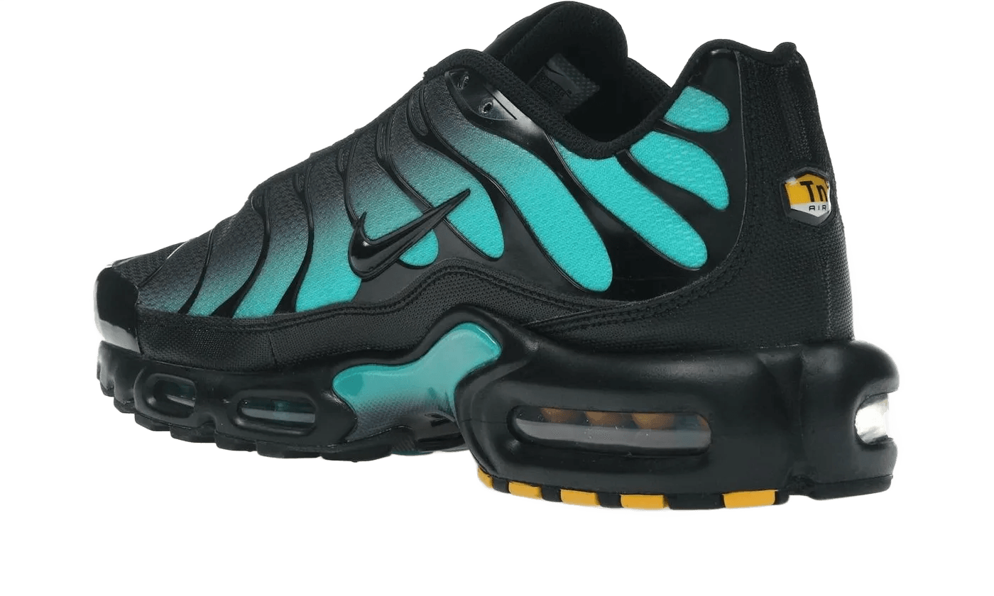 Nike Air Max Plus Black Dusty Cactus - DM0032-016