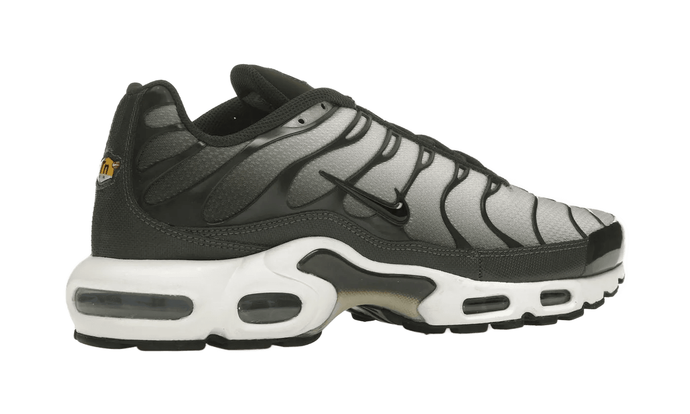 Nike Air Max Plus Sequoia Cargo Khaki - DM0032-300